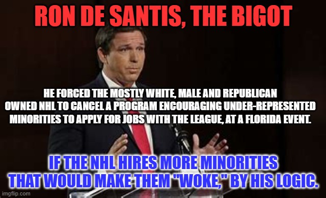 Fox News' newest favorite wants to keep NHL all white, male and straight. | RON DE SANTIS, THE BIGOT; HE FORCED THE MOSTLY WHITE, MALE AND REPUBLICAN OWNED NHL TO CANCEL A PROGRAM ENCOURAGING UNDER-REPRESENTED MINORITIES TO APPLY FOR JOBS WITH THE LEAGUE, AT A FLORIDA EVENT. IF THE NHL HIRES MORE MINORITIES THAT WOULD MAKE THEM "WOKE," BY HIS LOGIC. | image tagged in politics | made w/ Imgflip meme maker