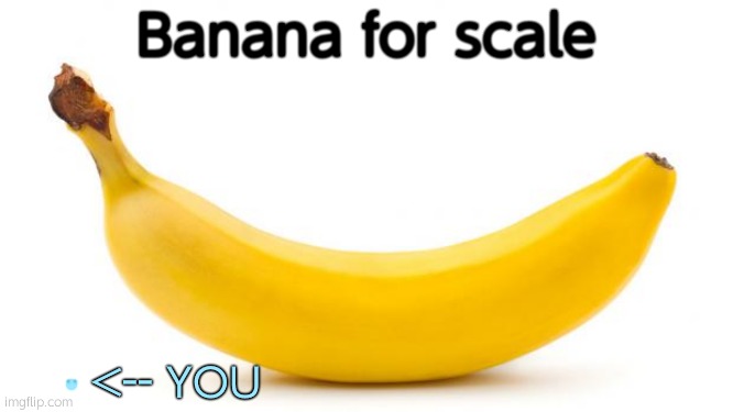 Banana | Banana for scale <-- YOU | image tagged in banana | made w/ Imgflip meme maker