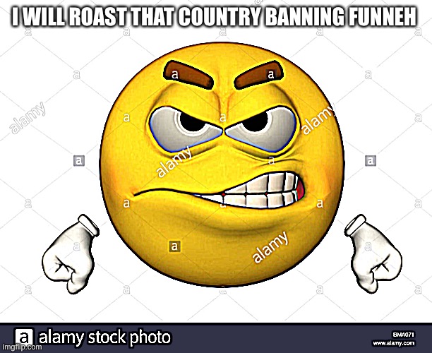 Angry emoji | I WILL ROAST THAT COUNTRY BANNING FUNNEH | image tagged in angry emoji | made w/ Imgflip meme maker