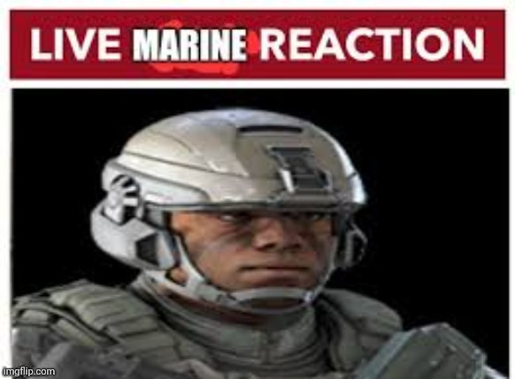 Live marine reaction | image tagged in live marine reaction | made w/ Imgflip meme maker