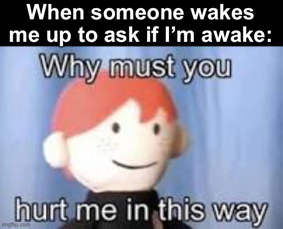 I’m sure this has happened to all of us! |  When someone wakes me up to ask if I’m awake: | image tagged in why must you hurt me in this way | made w/ Imgflip meme maker