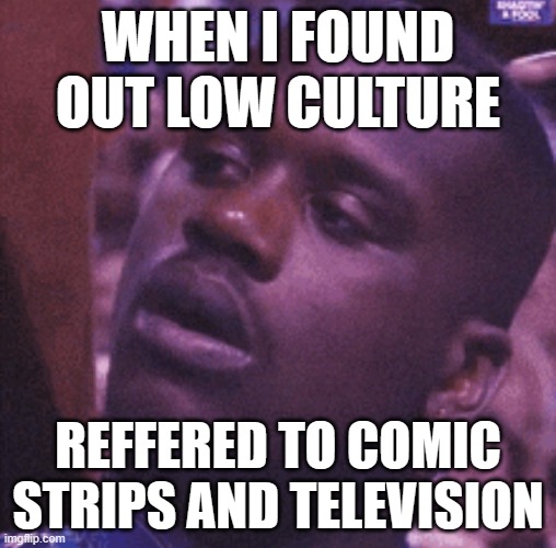 #visualcommunication | WHEN I FOUND OUT LOW CULTURE; REFFERED TO COMIC STRIPS AND TELEVISION | image tagged in memes | made w/ Imgflip meme maker