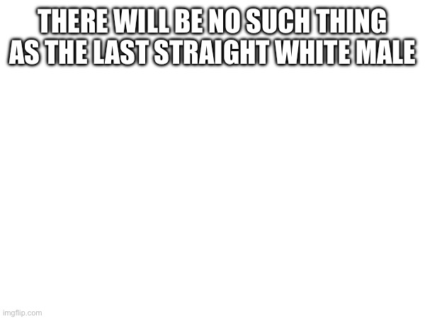 THERE WILL BE NO SUCH THING AS THE LAST STRAIGHT WHITE MALE | made w/ Imgflip meme maker