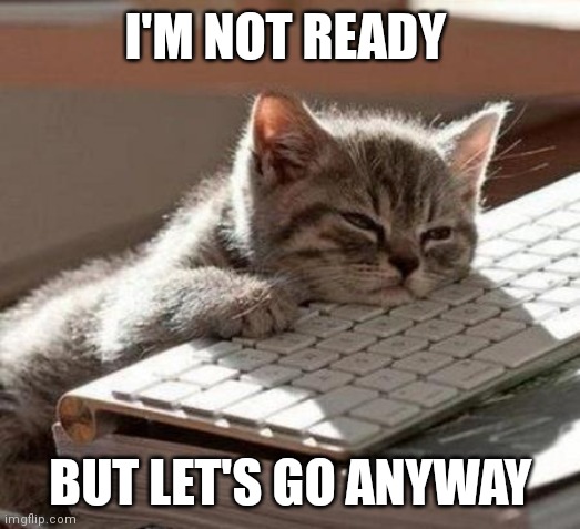 Tired kitty | I'M NOT READY; BUT LET'S GO ANYWAY | image tagged in tired cat,sleep | made w/ Imgflip meme maker