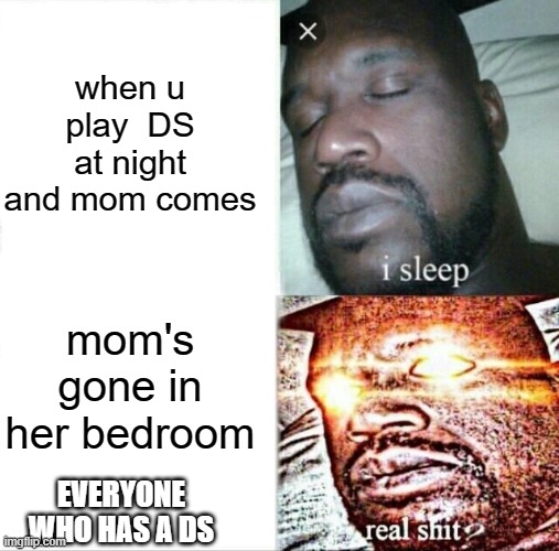 everyone that has / had a DS when kid | when u play  DS at night and mom comes; mom's gone in her bedroom; EVERYONE WHO HAS A DS | image tagged in memes,sleeping shaq | made w/ Imgflip meme maker
