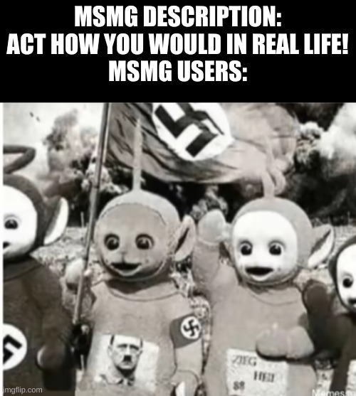 msmg lore | MSMG DESCRIPTION: ACT HOW YOU WOULD IN REAL LIFE!
MSMG USERS: | image tagged in nazi teletubbies,meanwhile in,msmg | made w/ Imgflip meme maker