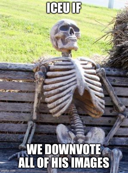 Let’s get iceu | ICEU IF; WE DOWNVOTE ALL OF HIS IMAGES | image tagged in memes,waiting skeleton,meme | made w/ Imgflip meme maker