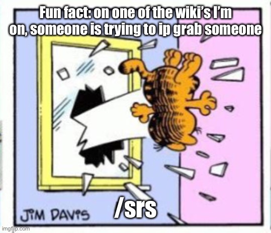 Garfield gets thrown out of a window | Fun fact: on one of the wiki’s I’m on, someone is trying to ip grab someone; /srs | image tagged in garfield gets thrown out of a window | made w/ Imgflip meme maker