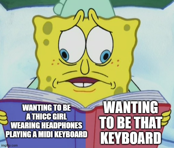 the struggle between she/her and it/its is new for me, but strong | WANTING TO BE THAT KEYBOARD; WANTING TO BE A THICC GIRL WEARING HEADPHONES PLAYING A MIDI KEYBOARD | image tagged in conflicted | made w/ Imgflip meme maker