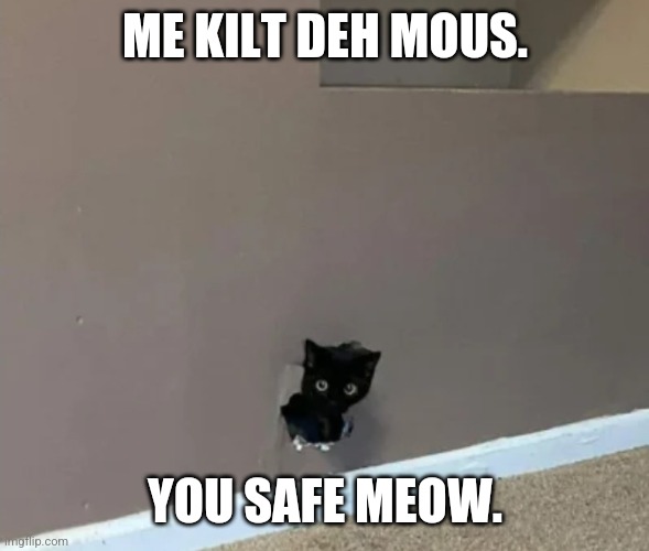 Cat hole | ME KILT DEH MOUS. YOU SAFE MEOW. | image tagged in cat hole | made w/ Imgflip meme maker