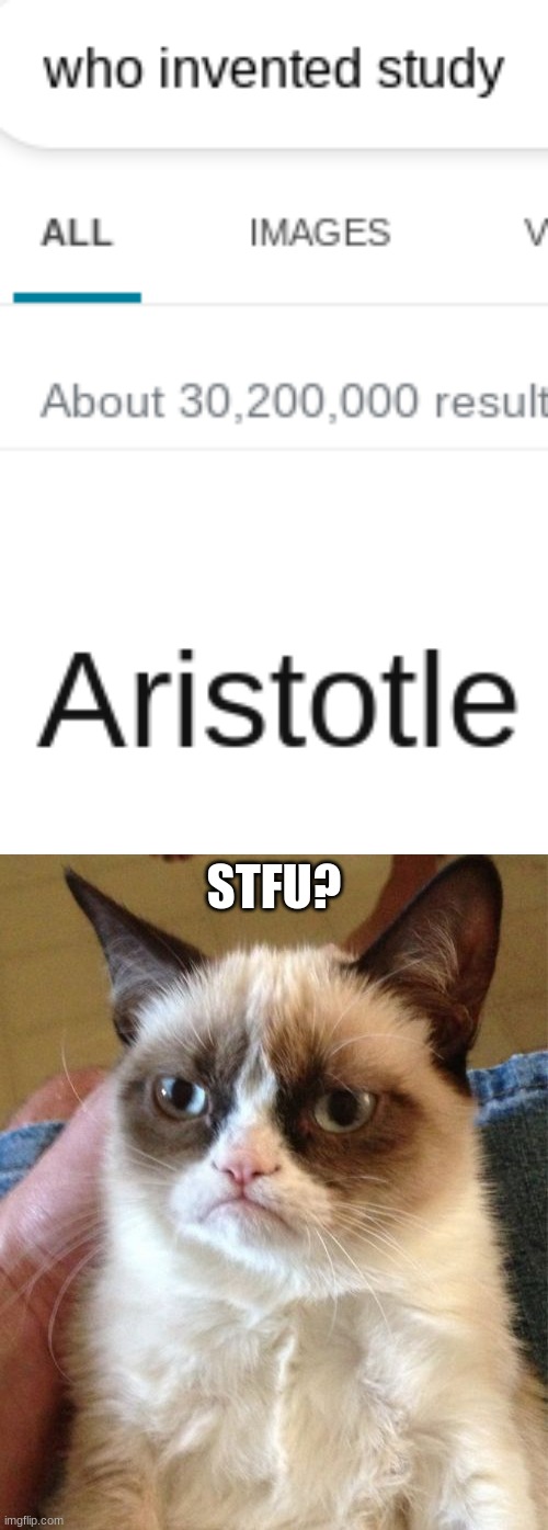 STFU? | image tagged in memes,grumpy cat | made w/ Imgflip meme maker