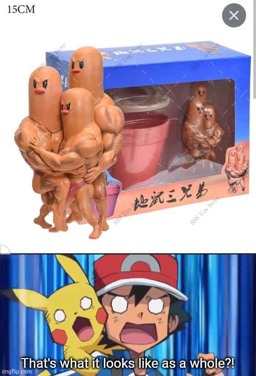 My Mom Found The Top Image On Facebook | That's what it looks like as a whole?! | image tagged in suprised ash and pikachu | made w/ Imgflip meme maker