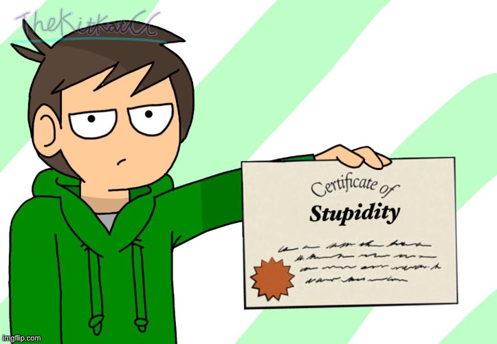 Certificate of Stupidity by Edd | image tagged in certificate of stupidity by edd | made w/ Imgflip meme maker