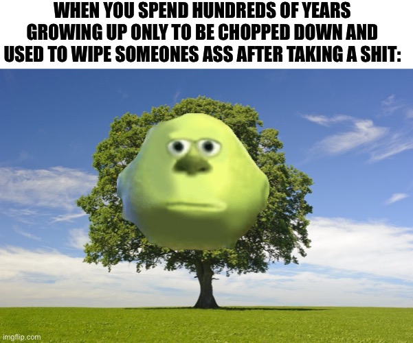 Poor trees | WHEN YOU SPEND HUNDREDS OF YEARS GROWING UP ONLY TO BE CHOPPED DOWN AND USED TO WIPE SOMEONES ASS AFTER TAKING A SHIT: | image tagged in memes,funny,funny memes,fun,tree,monsters inc | made w/ Imgflip meme maker