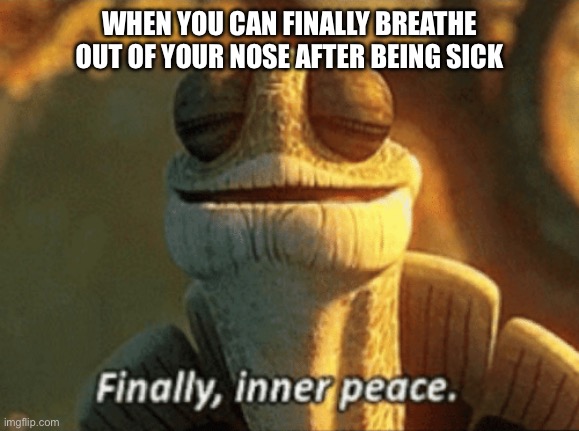 (insert title) | WHEN YOU CAN FINALLY BREATHE OUT OF YOUR NOSE AFTER BEING SICK | image tagged in finally inner peace | made w/ Imgflip meme maker