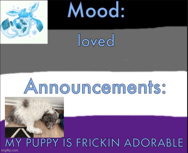 he is adorable | loved; MY PUPPY IS FRICKIN ADORABLE | image tagged in self announce template | made w/ Imgflip meme maker