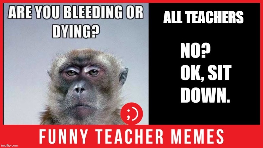ALL TEACHERS | image tagged in funny | made w/ Imgflip meme maker