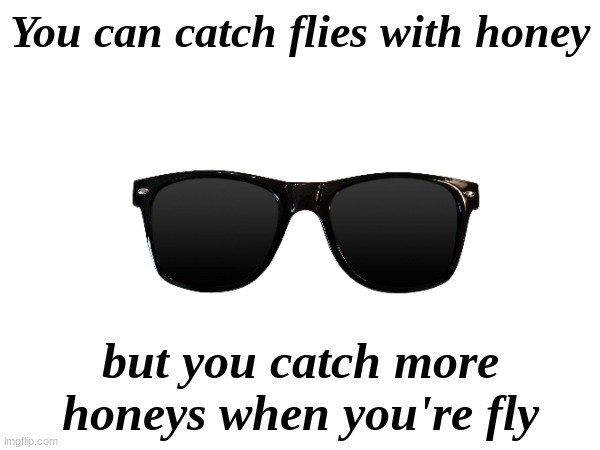 I'mma get so many benches with this line | You can catch flies with honey; but you catch more honeys when you're fly | made w/ Imgflip meme maker