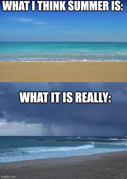 Summer :( | WHAT I THINK SUMMER IS:; WHAT IT IS REALLY: | image tagged in memes | made w/ Imgflip meme maker