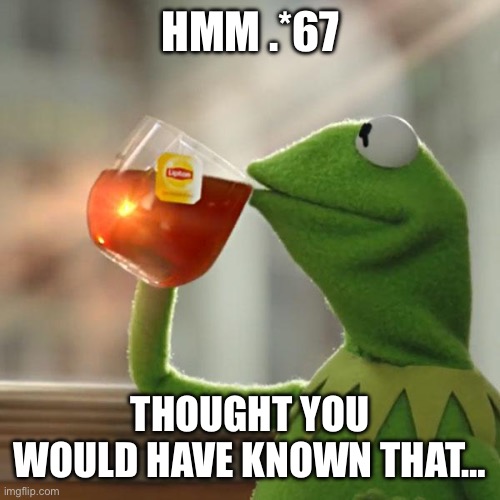 But That's None Of My Business Meme | HMM .*67; THOUGHT YOU WOULD HAVE KNOWN THAT… | image tagged in memes,but that's none of my business,kermit the frog | made w/ Imgflip meme maker