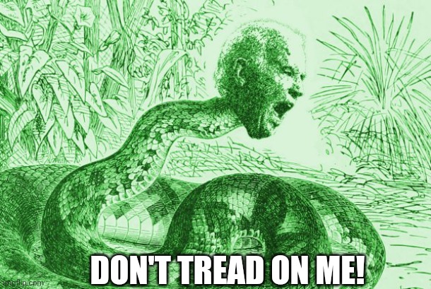 Gadsden Biden | DON'T TREAD ON ME! | image tagged in politicians snakes biden,democrats,don't tread on me,no step,snek,usa | made w/ Imgflip meme maker
