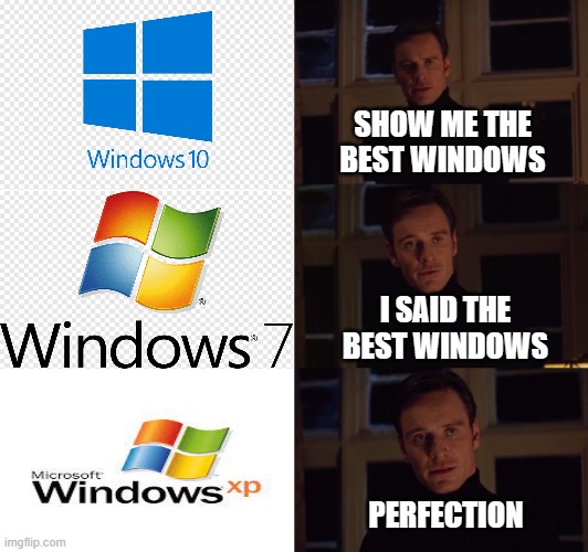 The Best Windows | SHOW ME THE BEST WINDOWS; I SAID THE BEST WINDOWS; PERFECTION | image tagged in windows,windows 10,windows 7,windows xp | made w/ Imgflip meme maker