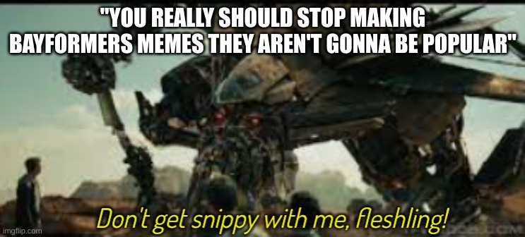 idc, I like bayformers and clearly there is a gold mine of templates in the movies | "YOU REALLY SHOULD STOP MAKING BAYFORMERS MEMES THEY AREN'T GONNA BE POPULAR" | image tagged in jetfire don't get snippy with me fleshling | made w/ Imgflip meme maker