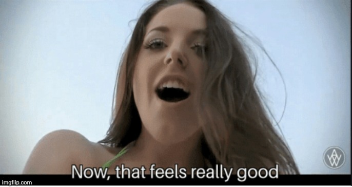 Now that feels really good | image tagged in now that feels really good | made w/ Imgflip meme maker