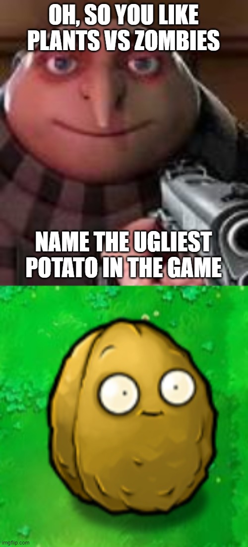 wall-nut is ugly | OH, SO YOU LIKE PLANTS VS ZOMBIES; NAME THE UGLIEST POTATO IN THE GAME | image tagged in gru with gun,wall-nut,plants vs zombies | made w/ Imgflip meme maker
