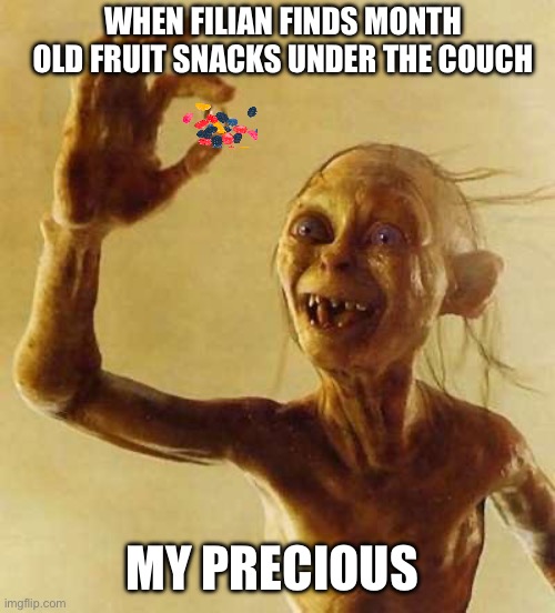 My precious Gollum | WHEN FILIAN FINDS MONTH OLD FRUIT SNACKS UNDER THE COUCH; MY PRECIOUS | image tagged in my precious gollum | made w/ Imgflip meme maker