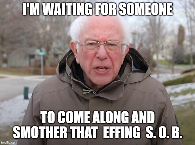 I'M WAITING FOR SOMEONE TO COME ALONG AND SMOTHER THAT  EFFING  S. O. B. | made w/ Imgflip meme maker