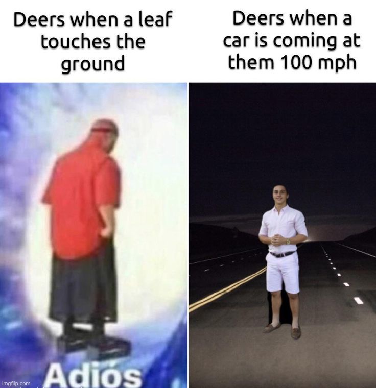 image tagged in memes,funny | made w/ Imgflip meme maker