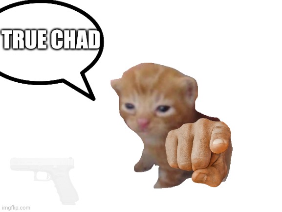 True chad | TRUE CHAD | image tagged in chad,robert,cat,glock | made w/ Imgflip meme maker