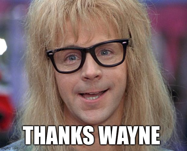 GARTH | THANKS WAYNE | image tagged in garth | made w/ Imgflip meme maker