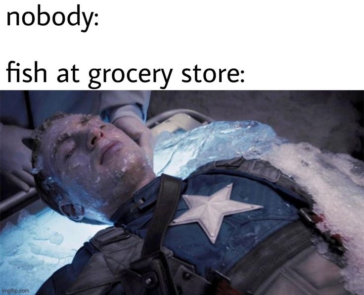 image tagged in memes,funny | made w/ Imgflip meme maker