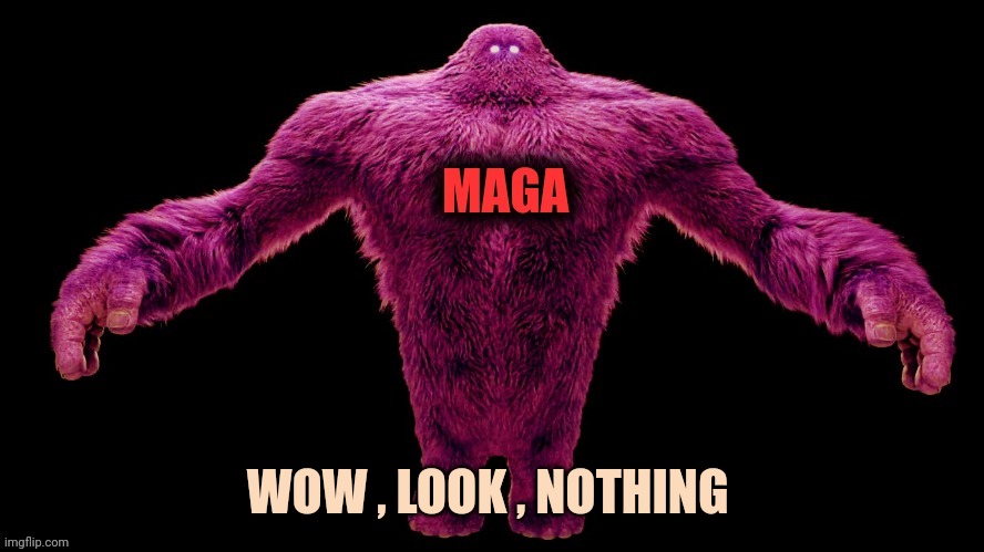 MAGA Monster | WOW , LOOK , NOTHING | image tagged in maga monster | made w/ Imgflip meme maker