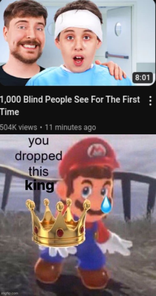 He's so nice. That's why I love watching Mr beast | image tagged in mario you dropped this king | made w/ Imgflip meme maker