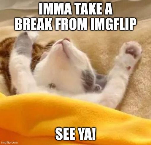 ill be back soon | IMMA TAKE A BREAK FROM IMGFLIP; SEE YA! | image tagged in gato relaz | made w/ Imgflip meme maker