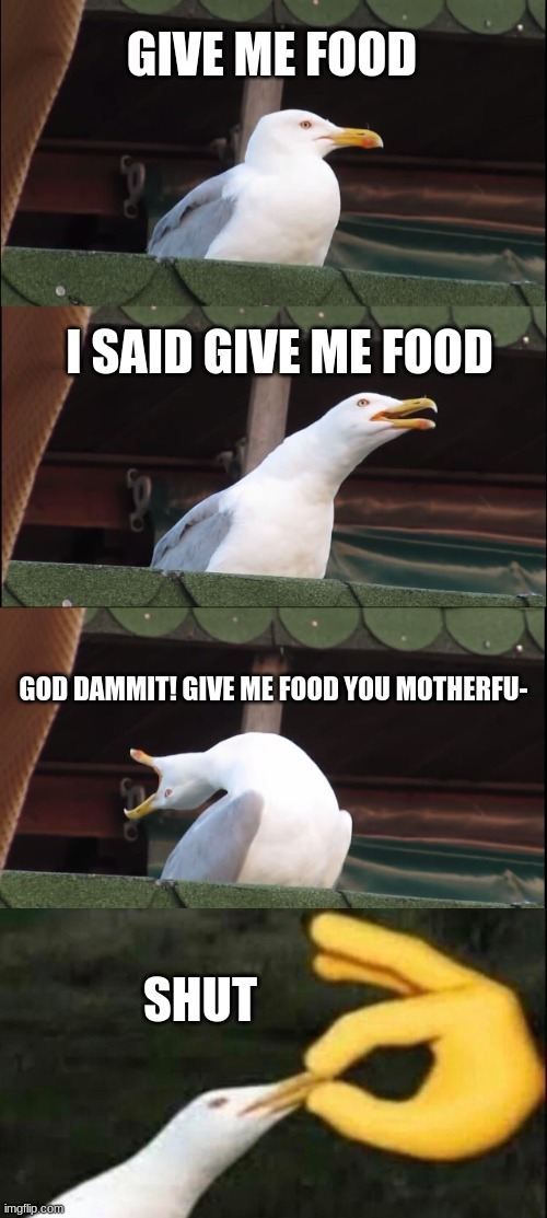 Preventing Seagull Swearing | GIVE ME FOOD; I SAID GIVE ME FOOD; GOD DAMMIT! GIVE ME FOOD YOU MOTHERFU-; SHUT | image tagged in memes,inhaling seagull,almost swearing,shut,seagull,screaming seagull | made w/ Imgflip meme maker