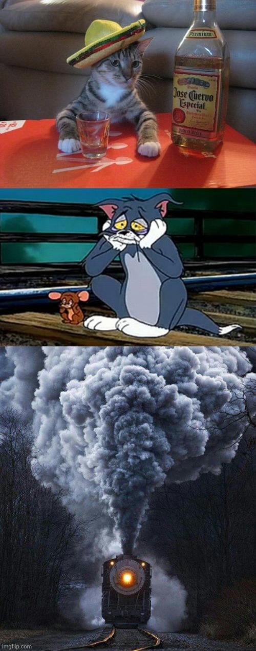 Step by step of what I'd do if I lost pearl to another man or to my actions | image tagged in alcohol cat,sad railroad tom and jerry,train | made w/ Imgflip meme maker