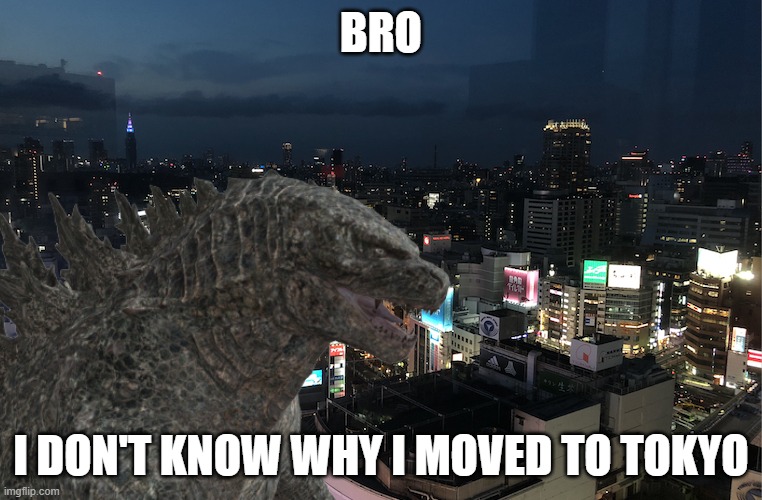 Why did I move to Tokyo | BRO; I DON'T KNOW WHY I MOVED TO TOKYO | image tagged in godzilla | made w/ Imgflip meme maker
