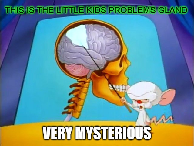 the brain | THIS IS THE LITTLE KIDS PROBLEMS GLAND VERY MYSTERIOUS | image tagged in the brain | made w/ Imgflip meme maker