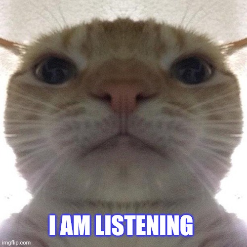 I am trying to look like I'm listening | I AM LISTENING | image tagged in staring cat/gusic | made w/ Imgflip meme maker