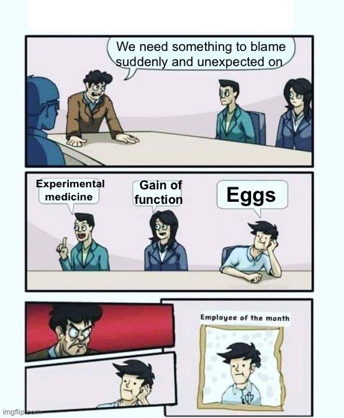 Eggs | We need something to blame suddenly and unexpected on; Experimental medicine; Eggs; Gain of function | image tagged in employee of the month,politics lol,memes | made w/ Imgflip meme maker