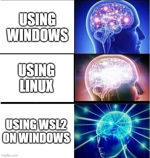 WSL2 | USING WINDOWS; USING LINUX; USING WSL2 ON WINDOWS | image tagged in expanding brain 3 panels | made w/ Imgflip meme maker