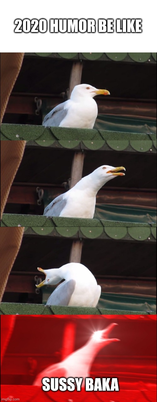 2020 | 2020 HUMOR BE LIKE; SUSSY BAKA | image tagged in memes,inhaling seagull,2020 | made w/ Imgflip meme maker