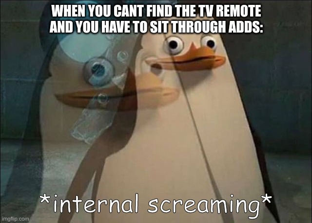 Facts. | WHEN YOU CANT FIND THE TV REMOTE AND YOU HAVE TO SIT THROUGH ADDS: | image tagged in private internal screaming,fun,funny,memes,funny memes,funny meme | made w/ Imgflip meme maker