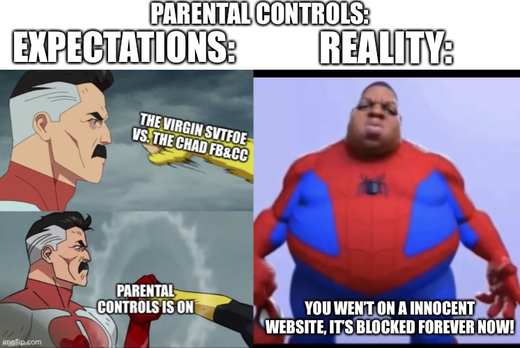 Is this true for me? | PARENTAL CONTROLS:; EXPECTATIONS:; REALITY:; YOU WEN’T ON A INNOCENT WEBSITE, IT’S BLOCKED FOREVER NOW! | image tagged in ratio,parental controls,memes,funny,expectation vs reality,omni man blocks punch | made w/ Imgflip meme maker