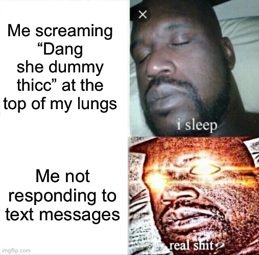 My neighborhood in a nutshell | Me screaming “Dang she dummy thicc” at the top of my lungs; Me not responding to text messages | image tagged in memes,sleeping shaq | made w/ Imgflip meme maker