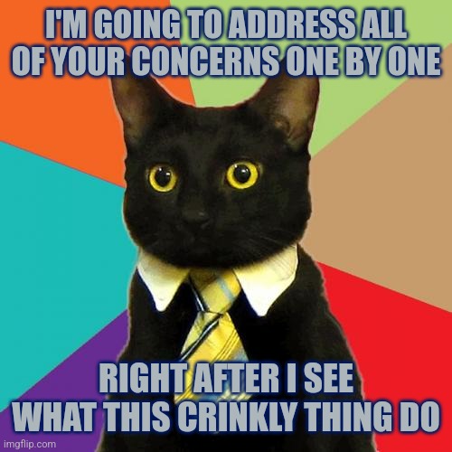 I'd appreciate it if you would respect my cultural diversity and give me that now | I'M GOING TO ADDRESS ALL OF YOUR CONCERNS ONE BY ONE; RIGHT AFTER I SEE WHAT THIS CRINKLY THING DO | image tagged in memes,business cat,cats,playing,cute cat | made w/ Imgflip meme maker